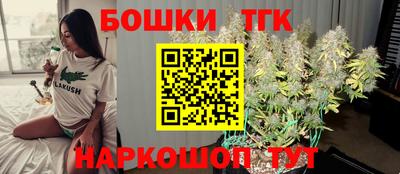 индика Обь