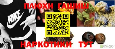 индика Обь
