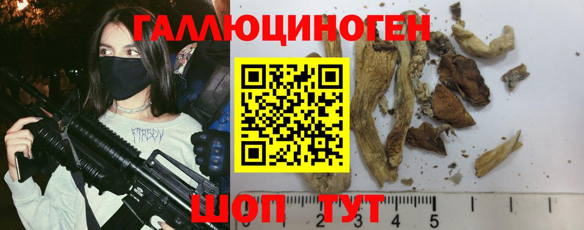 Галлюциногенные грибы Cubensis Скопин